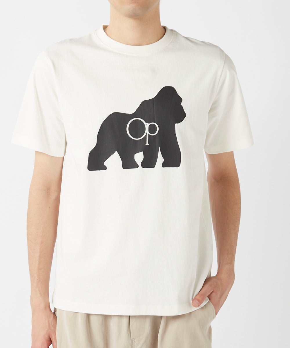 ocean pacificメンズ 半袖Tシャツ | OCEANweb（オーシャンウェブ）公式